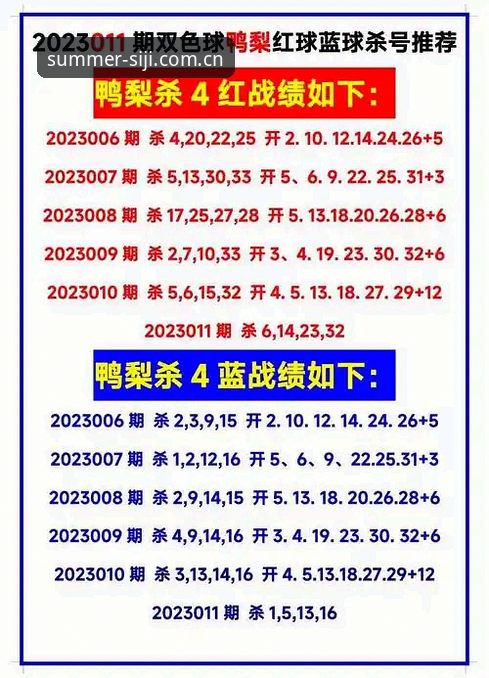 四季网官网2025新版功能详解：从入口到会员权益的完整指南